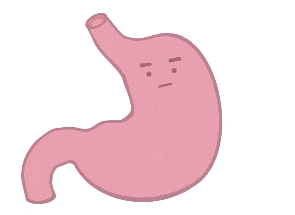 胃是人体消化系统的重要组成部分,通过蠕动搅磨食物,使食物与胃液
