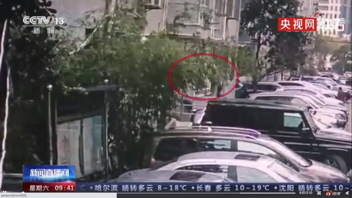 上海一男子高空抛垃圾袋获刑8个月