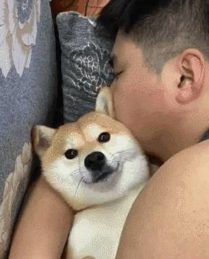 狗子你要是被绑架了,你就眨眨眼!