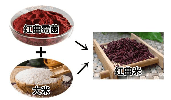 红曲米,是红曲,也就是红曲霉菌和米结合在一块儿以后,然后通过发酵