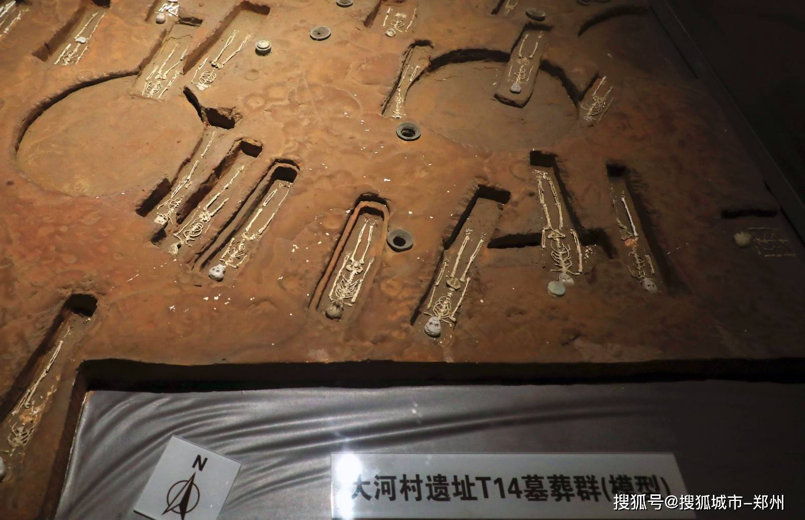 去郑州,看华夏古国 来大河村遗址博物馆,感受早期中国