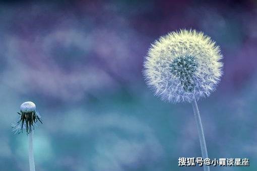 原创让人受益匪浅的人生良言睿智深刻让人心情豁达