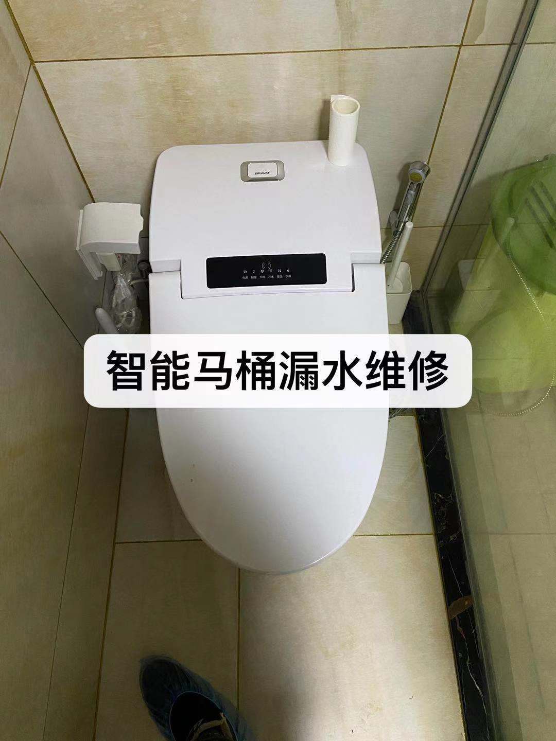 为什么智能马桶一直上水,是所有品牌的通病吗?