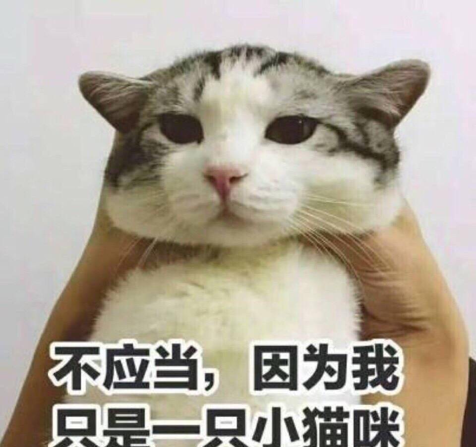 看我嫌弃你的表情