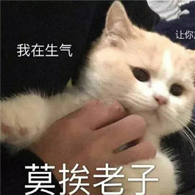生气暴怒干架必备【表情包】
