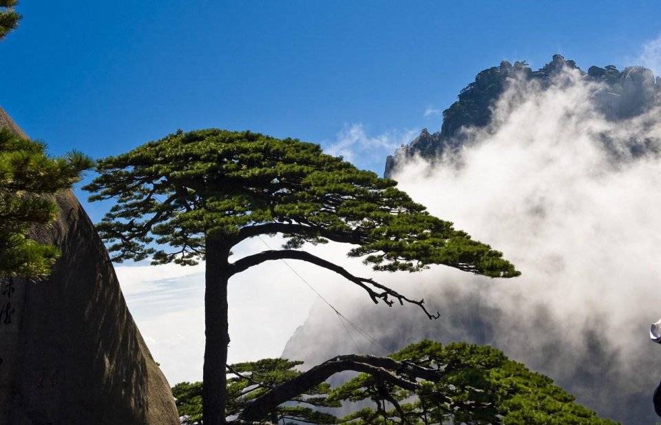 黄山风景区