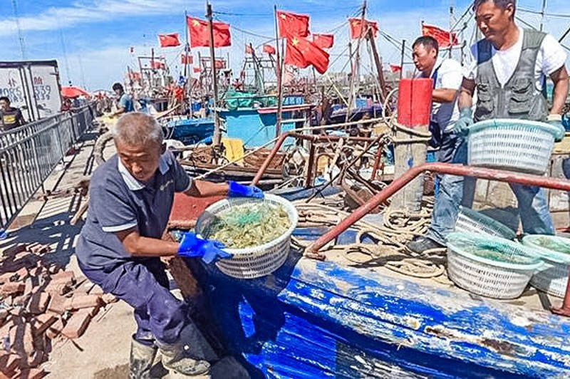 出海打渔·包船出海·体验一次渔民生活·品新鲜海鲜·打卡网红图书馆