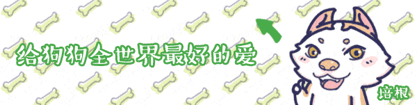 家里不让养狗狗?是时候拿出真正的技术了