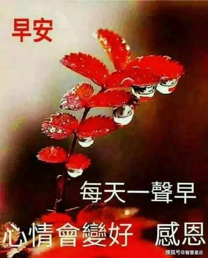 4月27日大家早上好新版祝福漂亮图片带字 清晨早上好问候动图说说