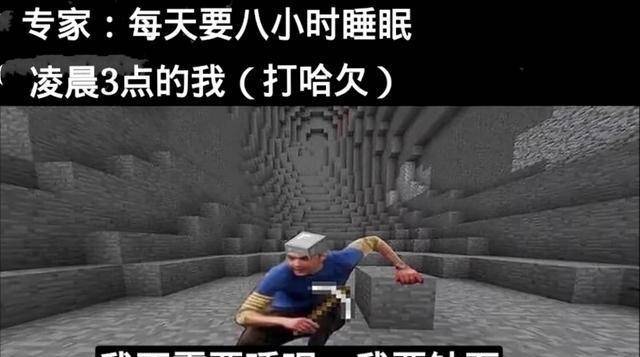 原创我的世界:mc玩家喜欢玩梗图?除了有趣之外,更多的是真实!