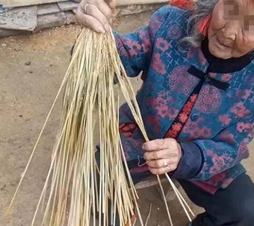 原创老奶奶用稻草把鸡蛋绑起来,拿到市集上,20分钟就卖了100斤