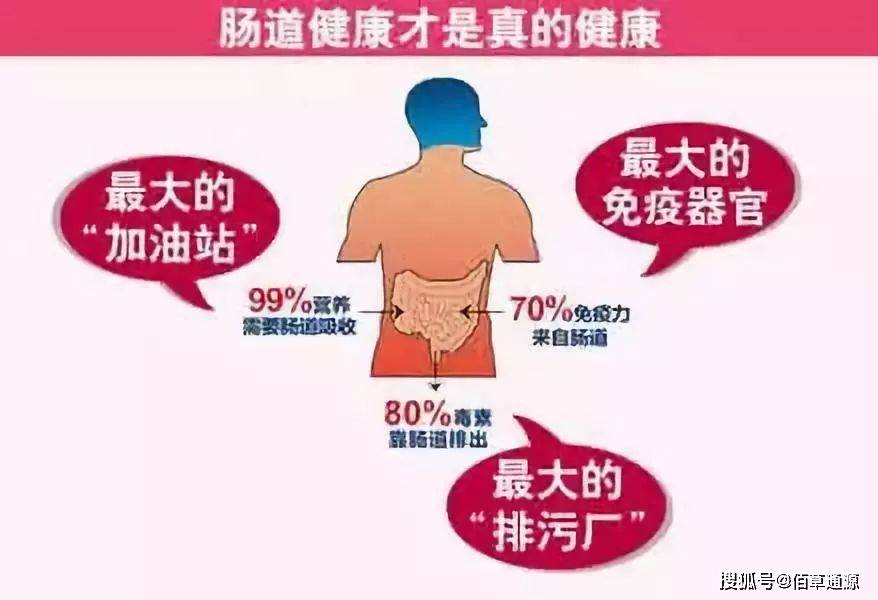 乳糖益生菌:肠道影响整体健康,5个症状说明肠道老了!