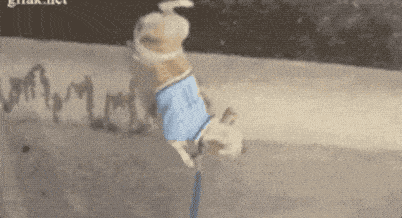 启功:200年来,我只服他