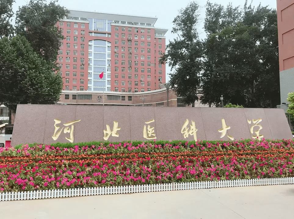 2021河北省大学录取分排名:河工大获榜首,河北大学位居第三