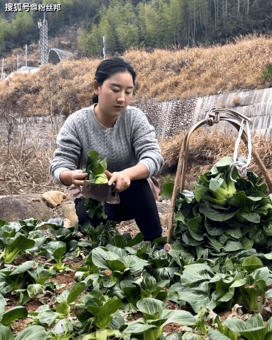 原创武夷乡愁沈丹回应身份,的确是励志女企业家,女强人不一定非得穷