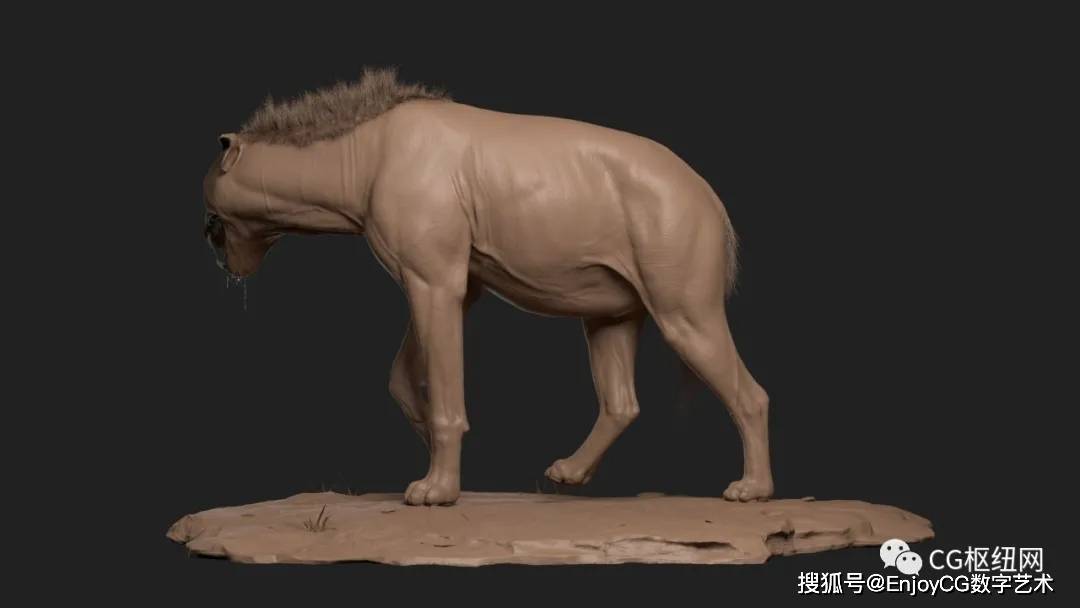 zbrush动物雕刻cg必备