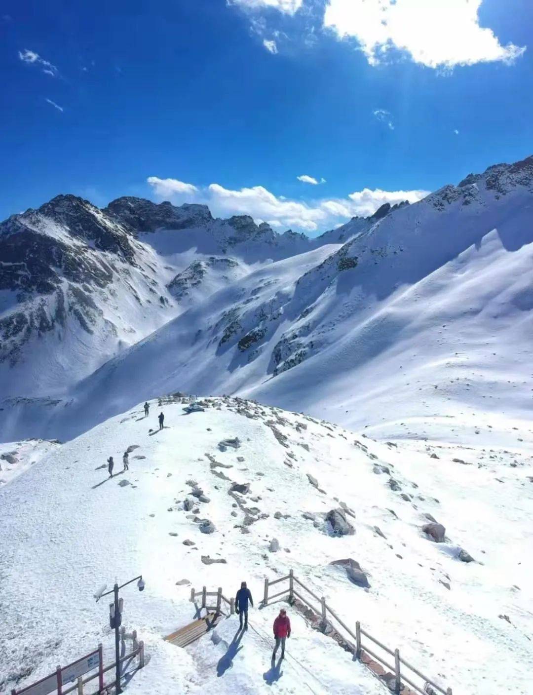 敢不敢来达古冰川,看五月飞雪!_雪山