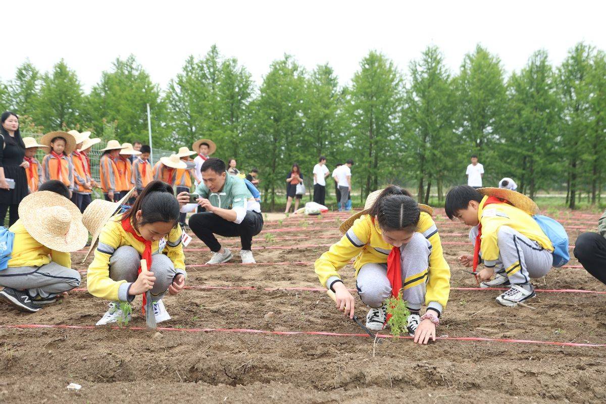 崇明玉海棠科技园区入选上海市学生劳动教育基地