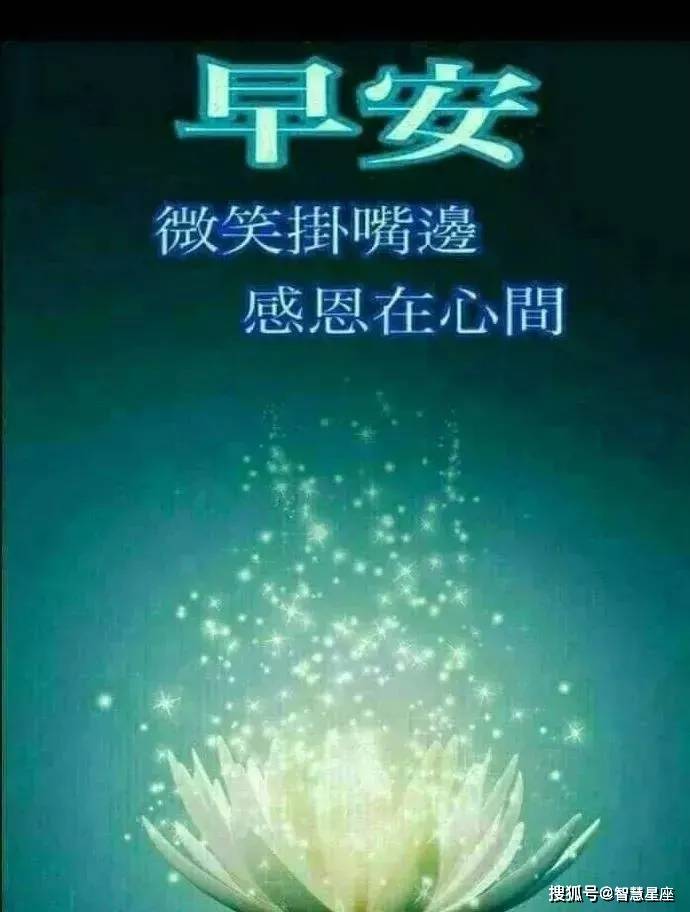 5月10日最新版漂亮早安图片鲜花带字 最美早上好问候语图片带字温馨