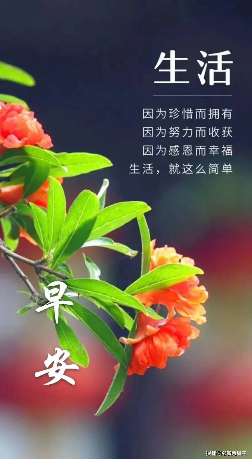 5月18日早上好问候语动态图片表情大全 5月早上好祝福语图片带字