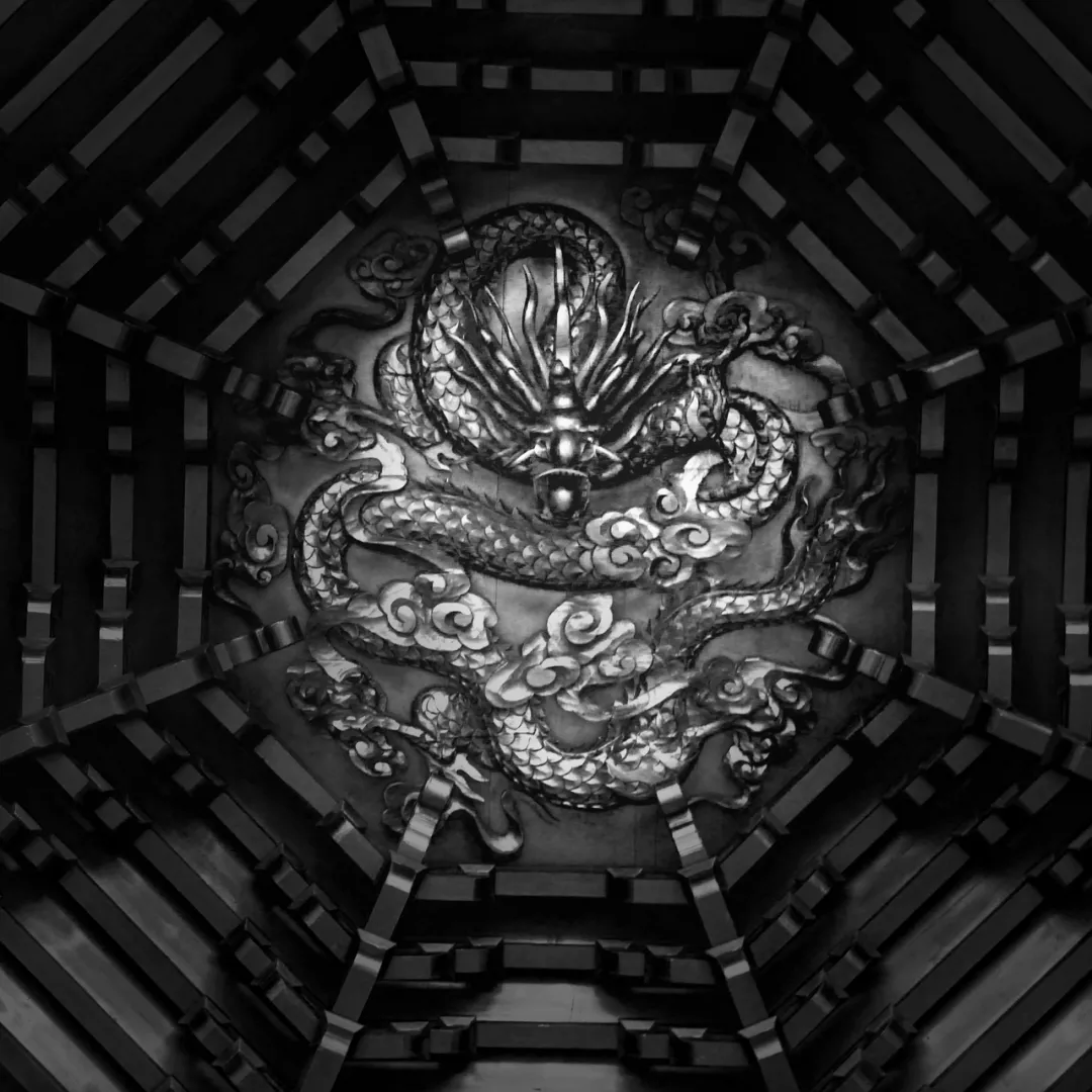 2021· 江西省摄协专题(组照)摄影比赛第1季获奖作品揭晓(2)