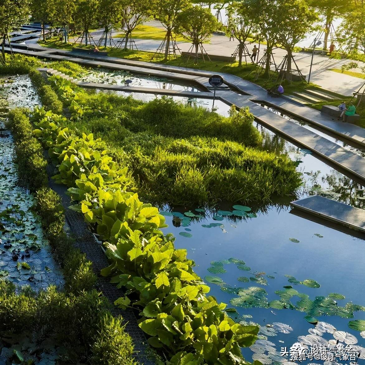 原创土人的"洪水友好型"湿地公园遭遇洪灾!网友:结果有点失望.