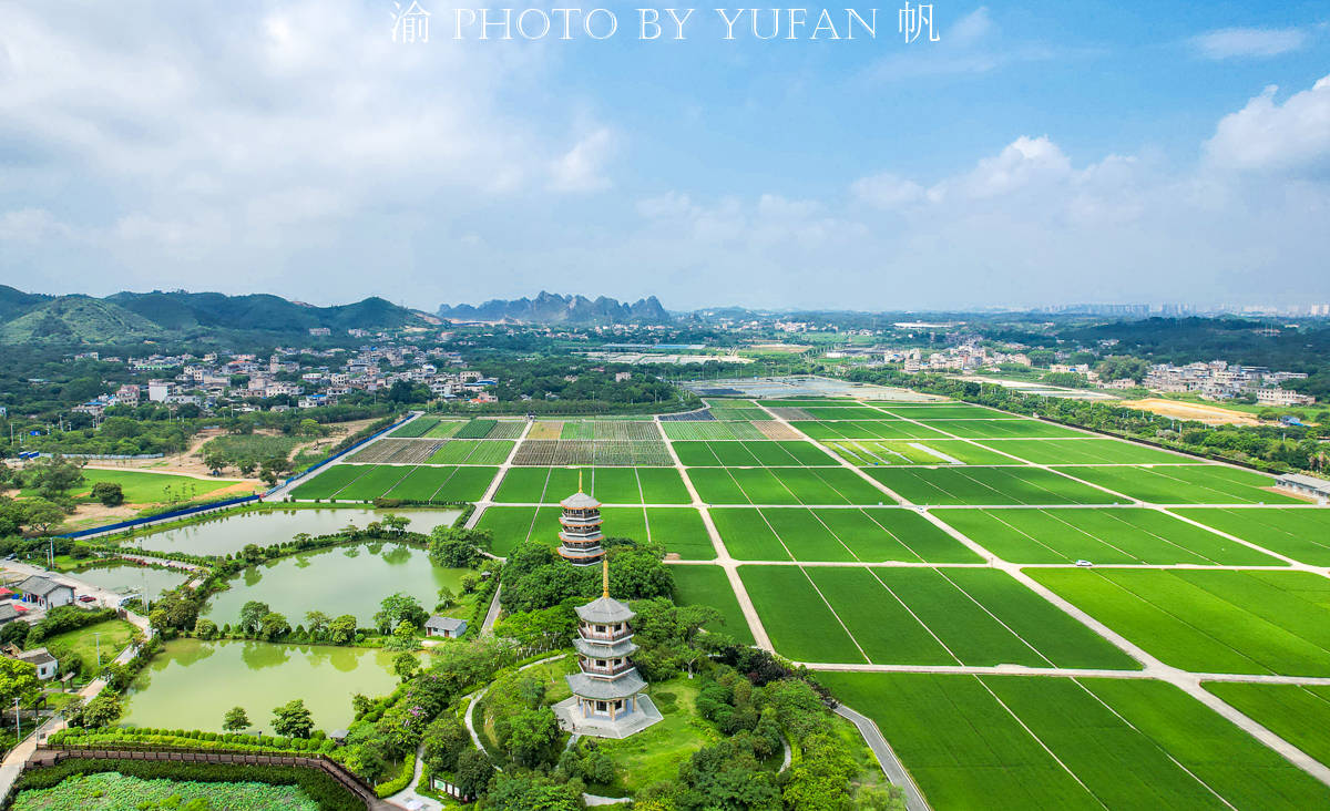 原创广西有片五彩田园,是袁隆平院士的试验田,承载着他未实现的梦想