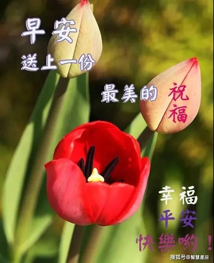 5月23日微信早晨问候大家早上好的早安祝福语图片,暖心的早上祝福语