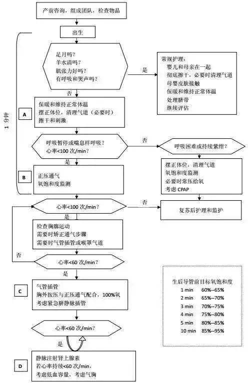 常见急症急救各种流程图