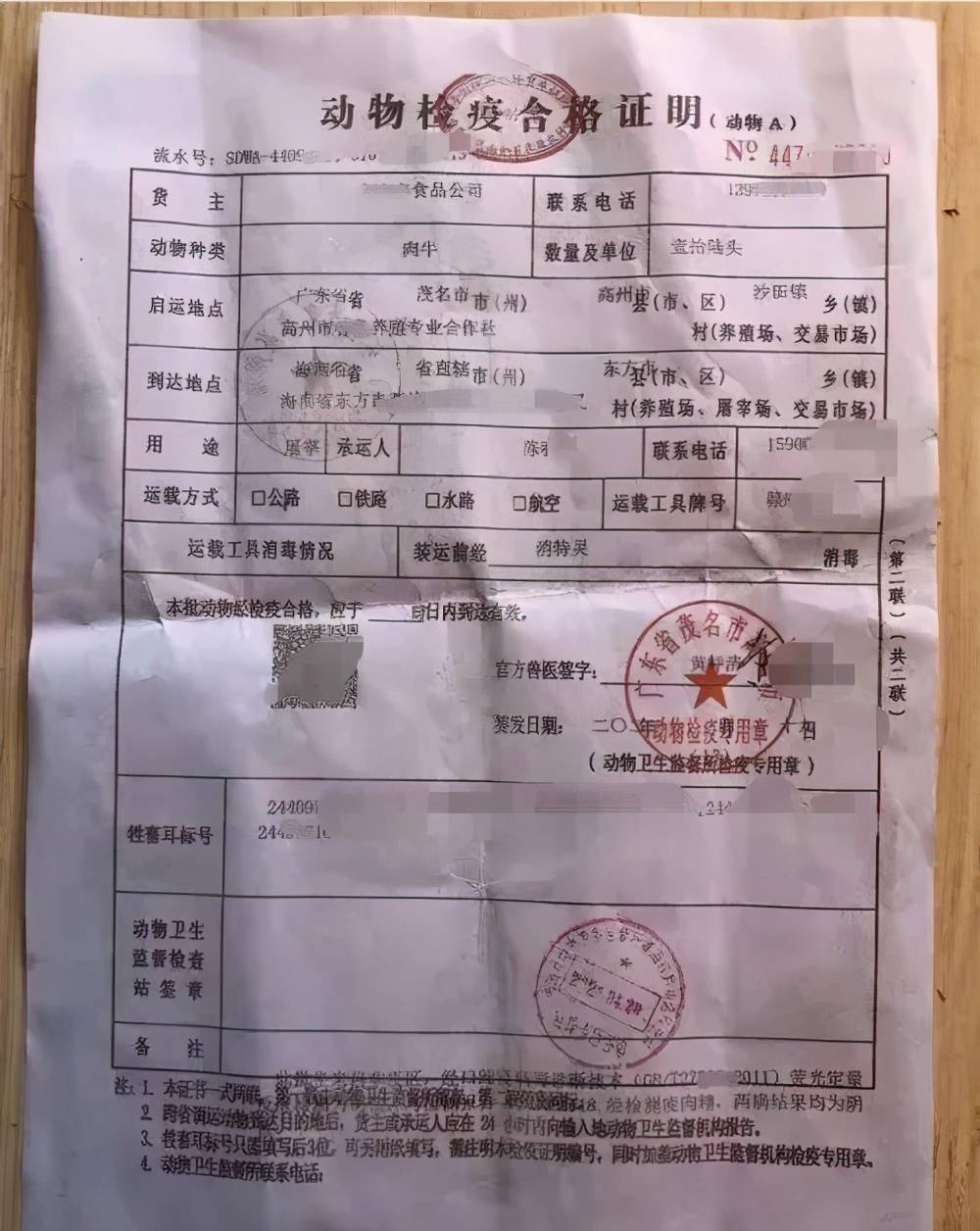 深圳查获18头"瘦肉精"肉牛,牛源来自._检疫