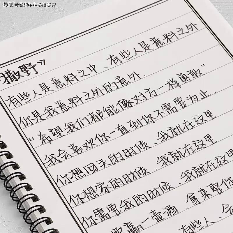 沄潮体
