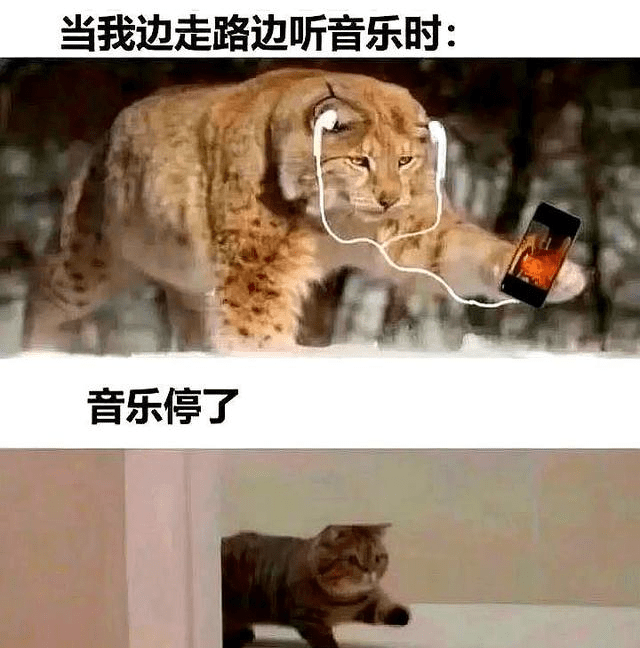 能把你认为最好笑的搞笑图片发一下吗?
