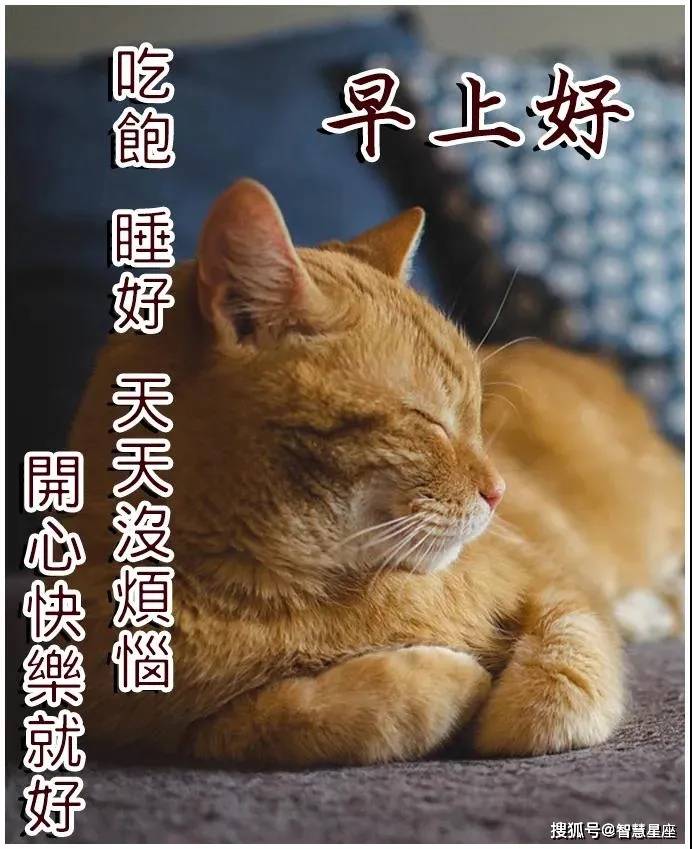 原创2021年6月4日星期五清晨早上好问候祝福动态表情图片