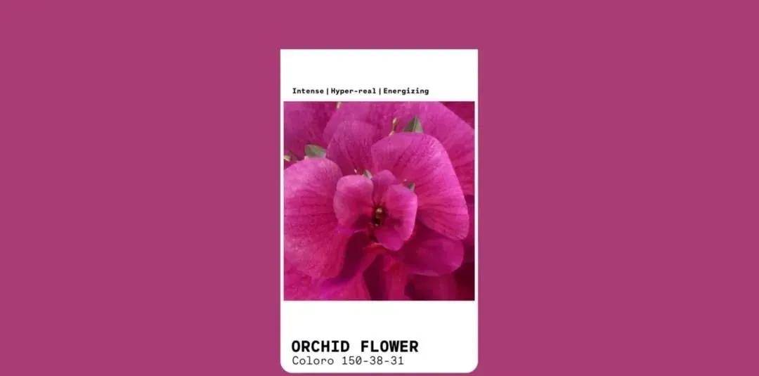 2022春夏颜色流行趋势,2021春夏色彩流行趋势 2022春夏流行色彩趋势_颜色