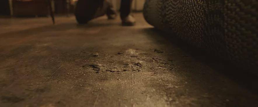 《招魂3》影评:全球爆款!年度票房最高的顶流回来了!