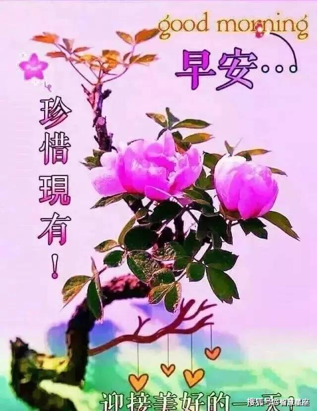 2021最漂亮的早上好鲜花表情动画图片,早晨好问候语大全