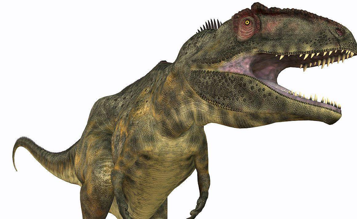 原创介绍陆地上几种食肉恐龙:鲨齿龙单挑棘龙,谁的胜率大?