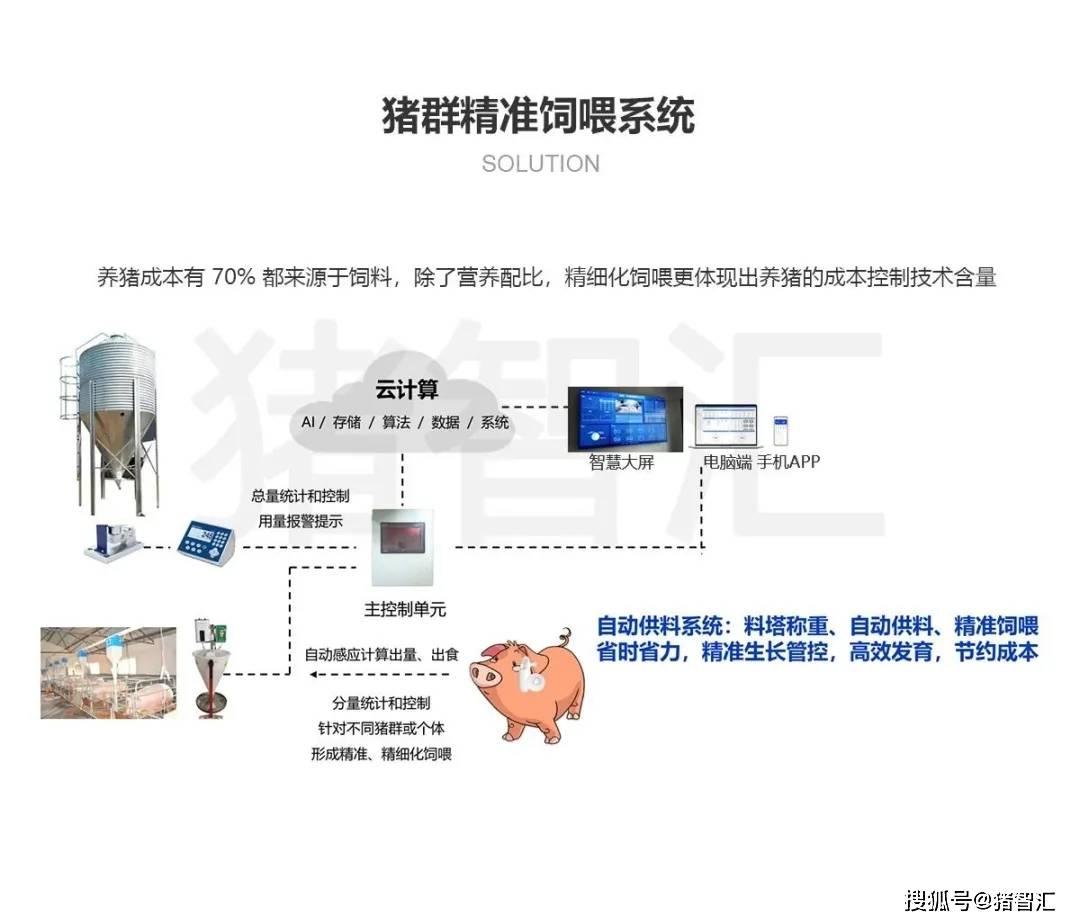 看猪智汇如何解析智慧猪场六大养猪难题_智能化