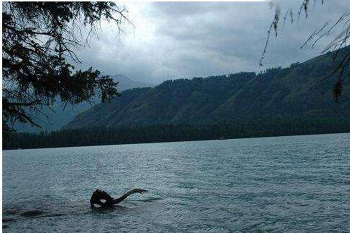 世界十大水怪之一,奥古布古水怪目击图,身长20米,游泳