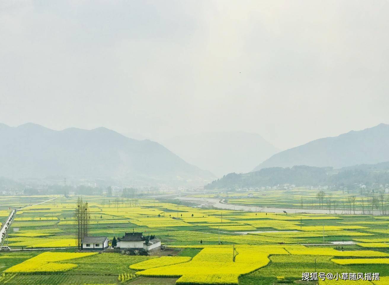 说走就走的油菜花之旅 饱览汉中勉县唐家坝油菜花海