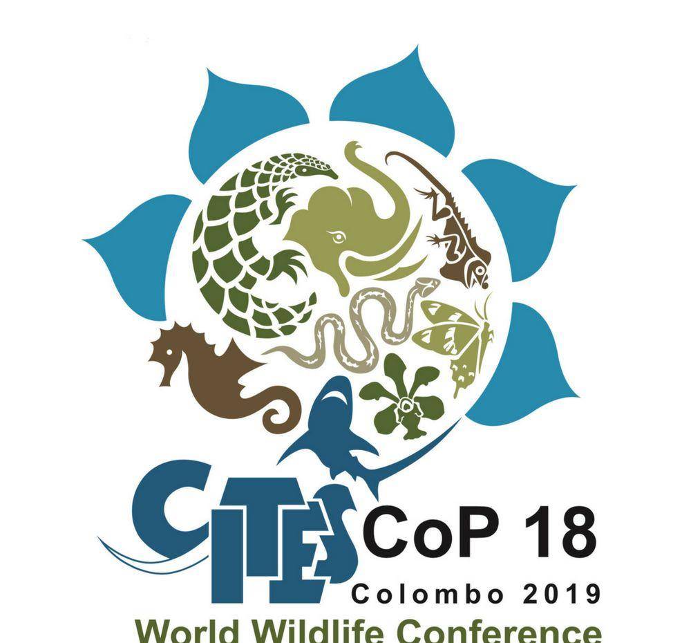 原创「绿讯」生态环境部征集cbd cop15大会标识咯!8月20日截止