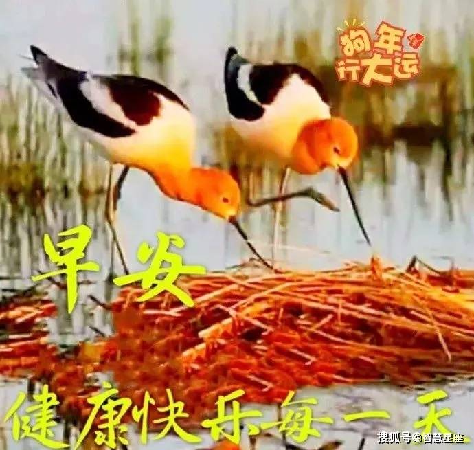6月23日清早真人美女早上好问候表情 美女早安问候动态表情图片