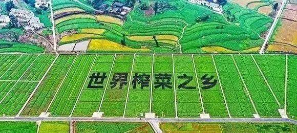 这个现代农业产业园获数亿元中央财政补贴_涪陵区