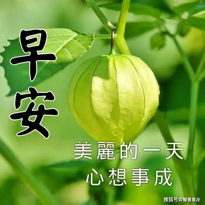 原创6月28日最新问候大家早安快乐动态图片带字最漂亮早上好动态图片