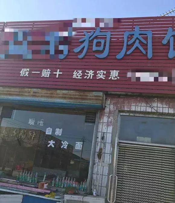 原创12元一斤从狗肉店买下的金毛,在新家努力的帮主人干活