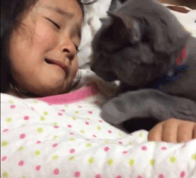 小妹妹受委屈躲着哭,猫咪贴脸安慰,别哭别哭还有我呢