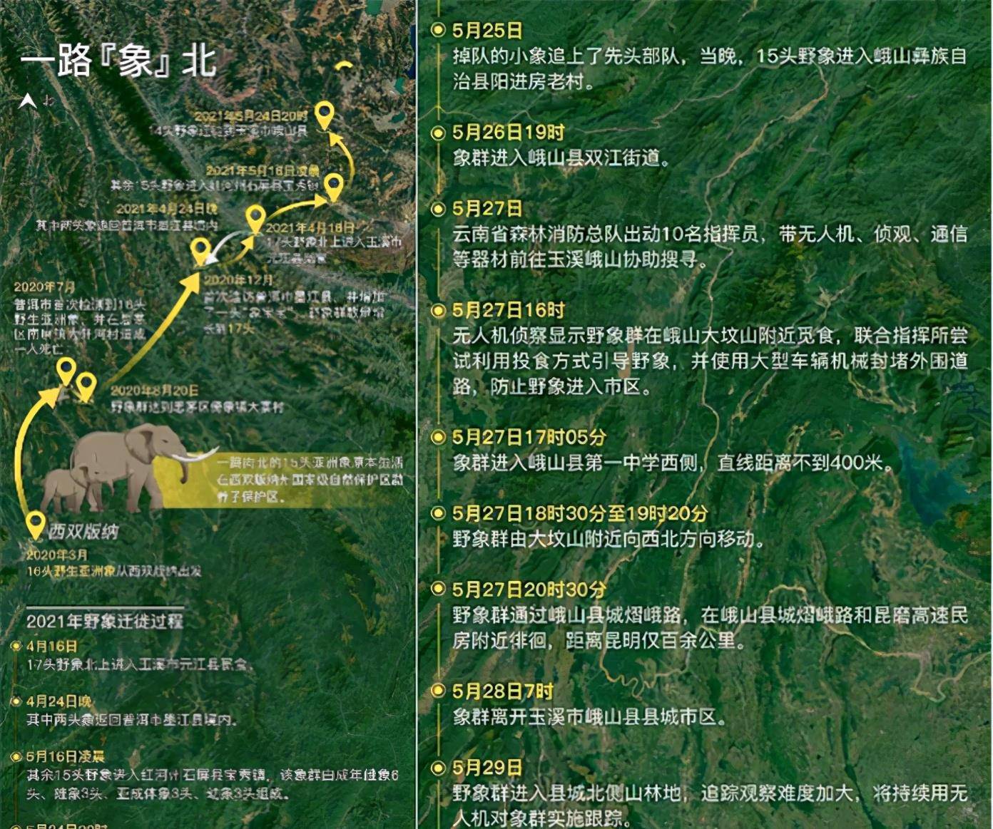 云南15头野象向北800里越吃越好?专家揭秘迁徙与地磁暴巧合内幕