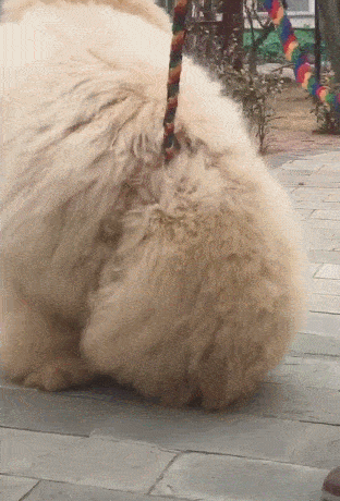 312_460 竖版 竖屏