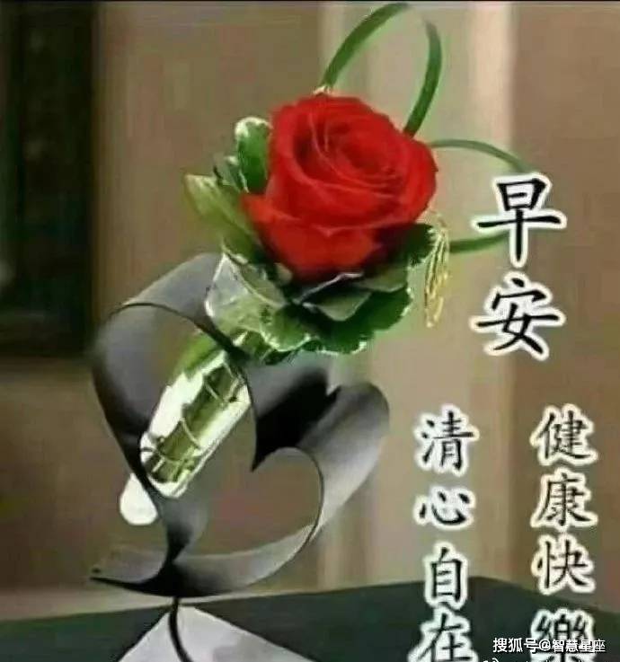 原创7月6日星期二早上好祝福语句图片朋友圈漂亮早上好动态图片清晨