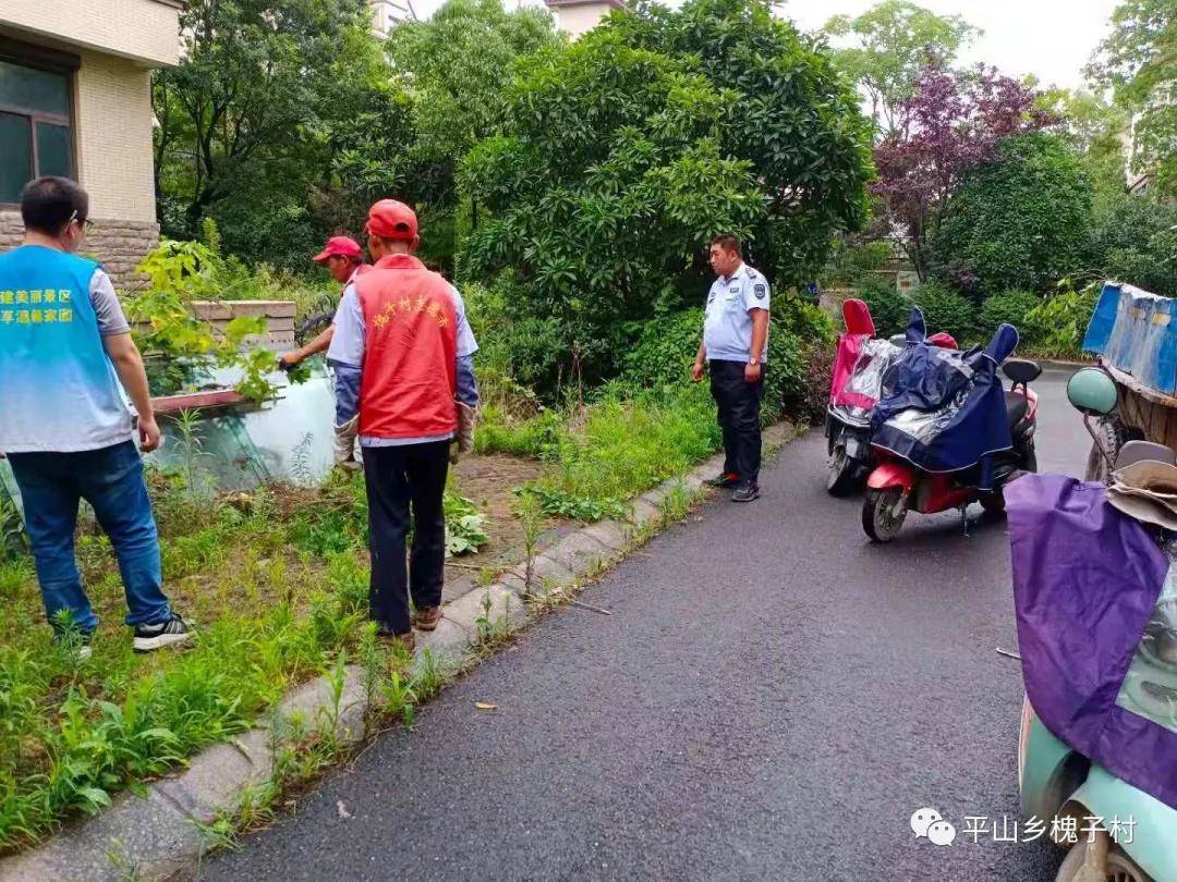 【网格动态】平山乡槐子村:我为群众办实事—全员出动